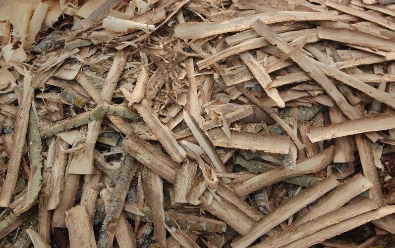 prostatit için kavak kabuğu