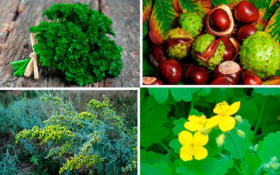 prostatit tedavisi için şifalı bitkiler